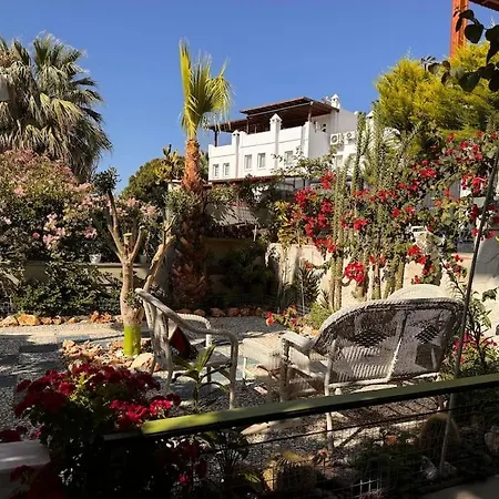 Bodrum Apartment